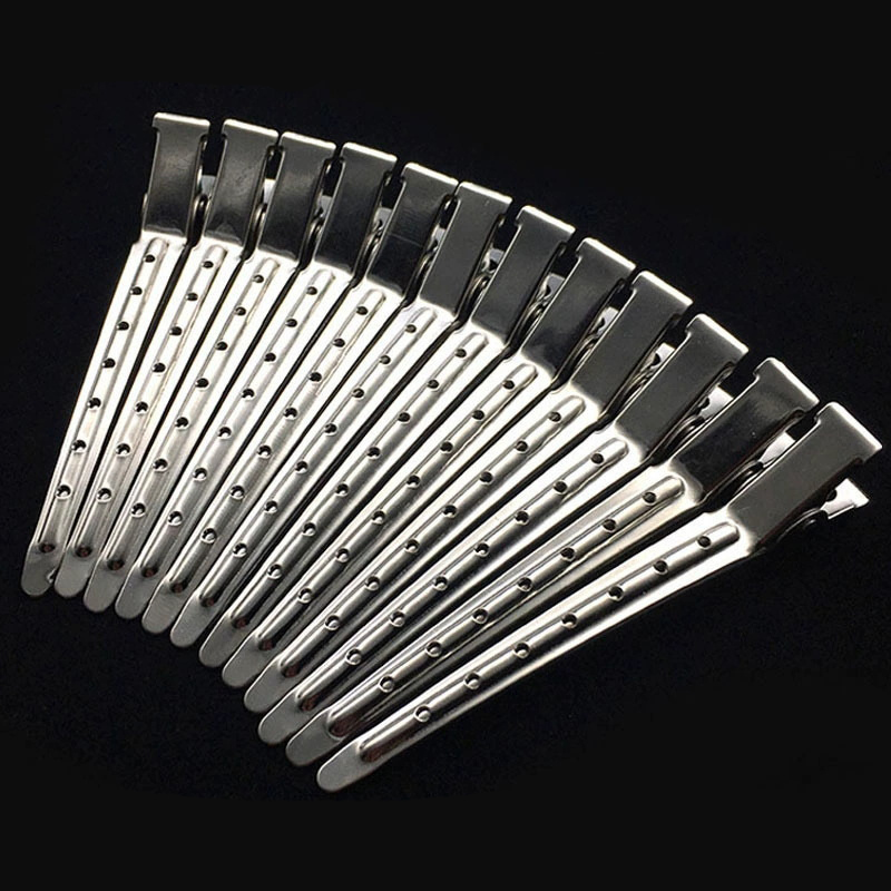 Woman Silver Hair Clips Metal  - Hair Care Guide review and price